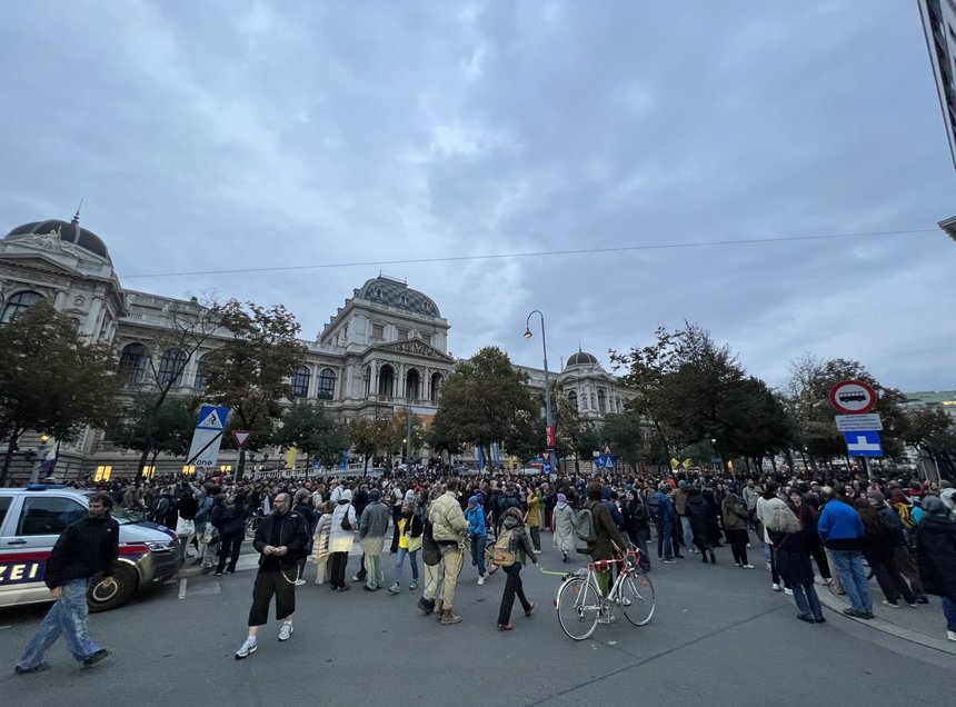 Mii de persoane mărşăluiesc la Viena împotriva extremei drepte înainte de negocierile pentru formarea coaliţiei guvernamentale