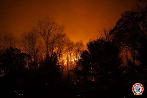 Incendii de vegetaţie periculoase, pe ambele coaste ale SUA/ Un pompier în vârstă de 18 ani a murit