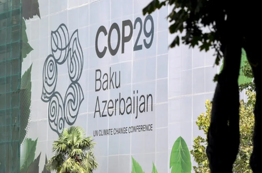 450 de ONG-uri denunţă prezenţa-record a patronilor şi lobbyiştilor energiilor fosile la COP29
