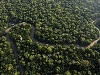 Biden vizitează pădurea tropicală amazoniană, în drum spre summit-ul G20 din Brazilia


