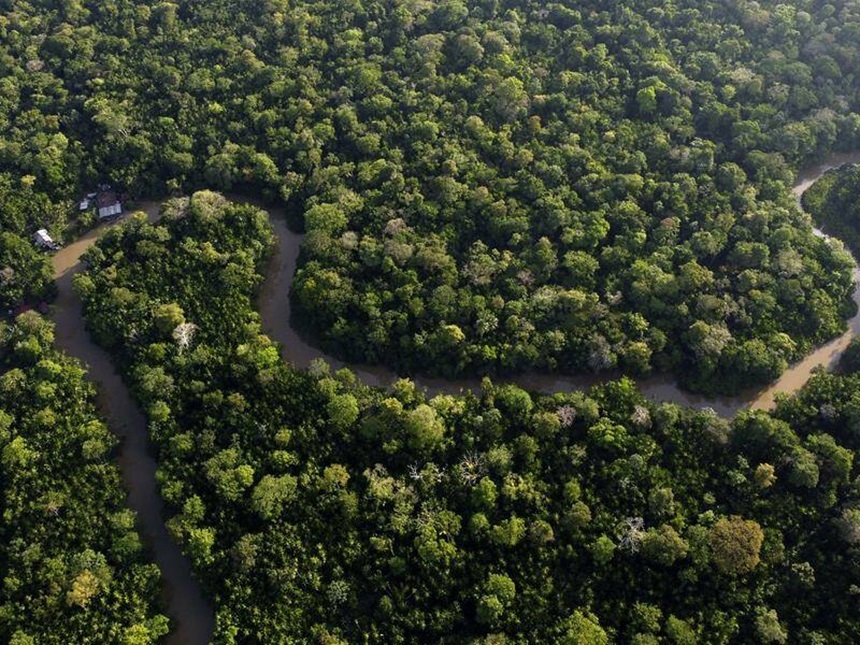 Biden vizitează pădurea tropicală amazoniană, în drum spre summit-ul G20 din Brazilia

