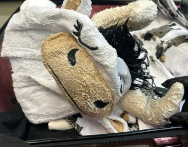 Rezident californian, arestat în SUA cu o pijama în formă de vacă îmbibată în metamfetamină
