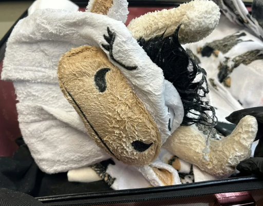 Rezident californian, arestat în SUA cu o pijama în formă de vacă îmbibată în metamfetamină