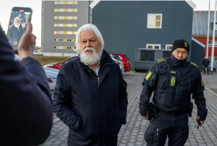 Activistul Paul Watson, eliberat după cinci luni de detenţie, în urma unui refuz al Danemarcei de a-l extrăda în Japonia
