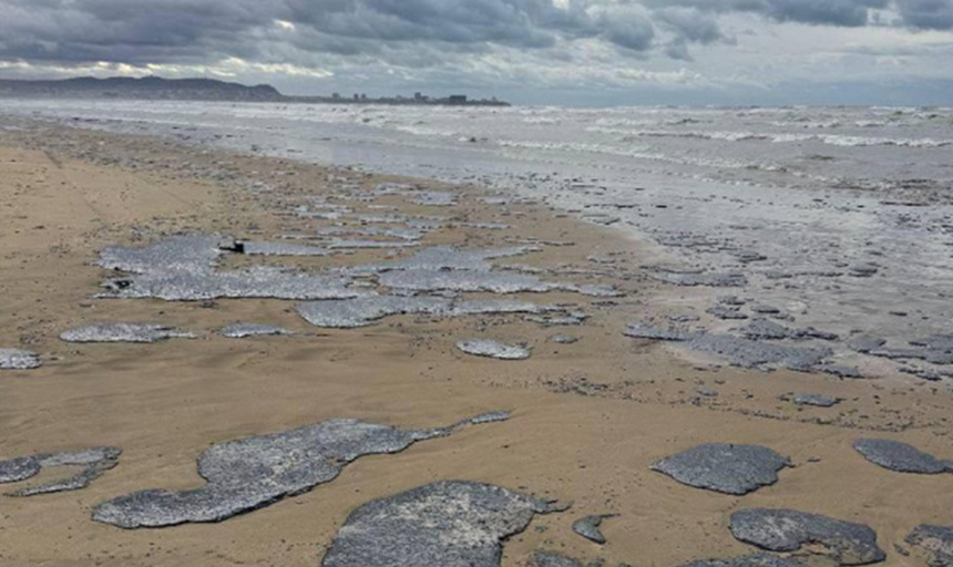 Peste 30 de cetacee găsite moarte în Marea Neagră, după scufundarea a două petroliere în preajma Crimeei