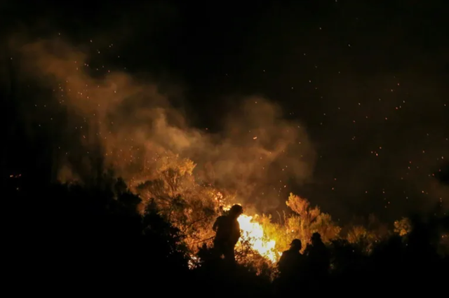 Evacuări în Masa și Păduri Devastate în Sudul Argentinei; Val de Căldură Afectează Nordul și Centrul