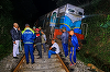 Un tren expres de pasageri deraiază în Sri Lanka după ce loveşte o familie de elefanţi. Niciun rănit la bord, şase elefanţi morţi şi doi supravieţuitori. Imagini emoţionante cu un elefant alături de un elefant tânăr rănit, culcat pe şine, cu trompele înlă
