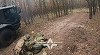 Ucraina anunţă că Rusia a pierdut 874 560 de militari în războiul început la 24 februarie 2022