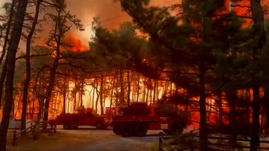 Aproximativ 3.000 de persoane evacuate în SUA din calea unui incendiu care se extinde rapid în pădurile de pini din New Jersey, una dintre cele mai vaste zone protejate pe Coasta de Est