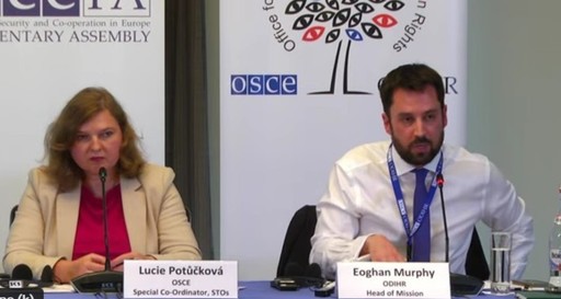 Observatorii internaţionali: Drepturile alegătorilor din România au fost respectate şi alegerile au fost organizate în mod eficient, dar este nevoie de mai multă transparenţă şi certitudine juridică