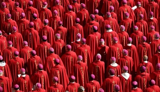 O sută treizeci şi trei de cardinali electori au sosit la Roma în vederea alegerii într-un Conclav, începând de miercuri, a unui Papă, anunţă Vaticanul