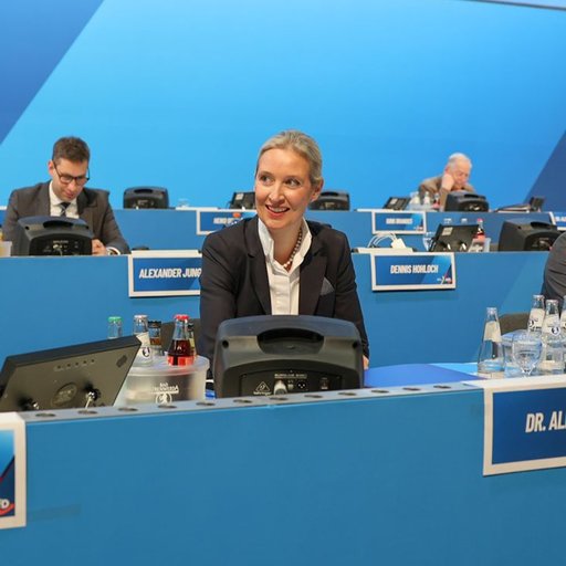 AfD, extrema dreaptă germană, cere noi alegeri generale după eşecul lui Merz de a fi învestit cancelar 