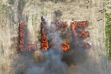 Poliţia din oraşul turc Lice arde 20 de tone de canabis în centrul oraşului şi provoacă locuitorilor halucinaţii timp de mai multe zile