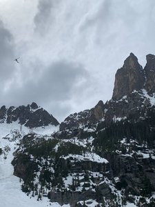 Patru alpinişti americani au căzut peste 120 de metri într-o râpă / Unul dintre ei a supravieţuit, a reuşit să urce şi a plecat cu maşina până la un telefon pentru a cere ajutor, deşi avea hemoragie internă şi traumatism cranian