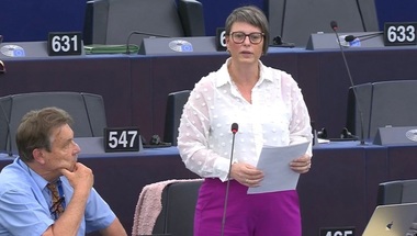 Actele armatei israeliene ”se îndreaptă către o epurare etnică şi un genocid” în Fâşia Gaza, trage un semnal de alarmă raportoarea Adunării Parlamentare a Consiliului Europei Saskia Kluit. Expulzarea populaţiei ”ar priva copiii de dreptul la un viitor în patria lor”
