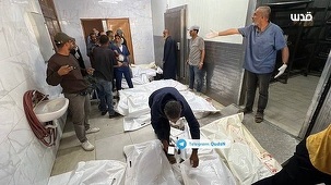 Cel puţin 22 de persoane ucise şi peste 120 rănite prin împuşcare de către militari israelieni, care au deschis focul împotriva a mii de palestinieni care se îndreptau către centrul american de ajutor de la Rafah, acuză Apărarea Civilă din Fâşia Gaza