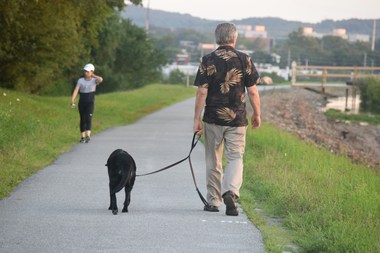 Italia: Parlamentul a adoptat legea care înăspreşte pedepsele pentru cruzimea faţă de animale, inclusiv luptele de câini