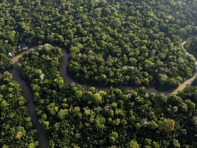 Columbia raportează o scădere cu 33% a defrişărilor în primele luni ale anului 2025, cu progrese importante în parcurile amazoniene

