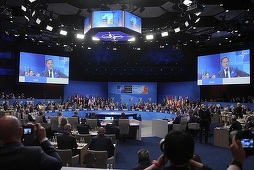 Rutte deschide summitul NATO din Olanda în oraşul său natal. ”Prea mult timp, un aliat, Statele Unite au purtat prea mult povara acestui angajament, iar acest lucru se schimbă azi”. SUA susţin ”deplin” articolul 5