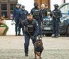 Misterul panterei negre care ar fi fost văzută în România. Experţii bulgari spun că ar fi vorba doar de un câine de talie mare