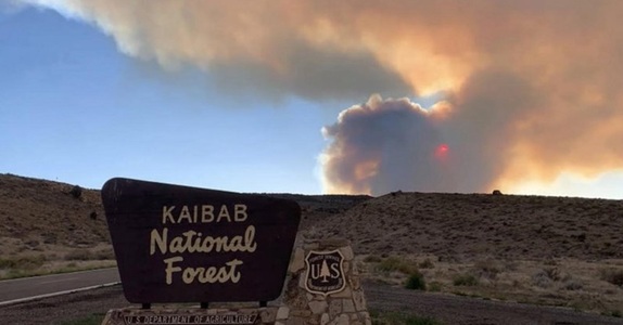 SUA: Turişti evacuaţi în urma unui incendiu în Marele Canion