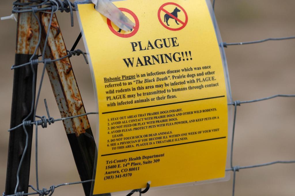 SUA: O persoană a murit de ciumă în Arizona. Este primul deces cauzat de ciumă pneumonică după anul 2007, potrivit oficialilor locali