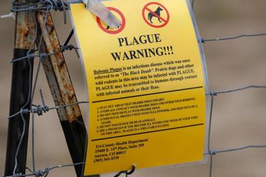 SUA: O persoană a murit de ciumă în Arizona. Este primul deces cauzat de ciumă pneumonică după anul 2007, potrivit oficialilor locali