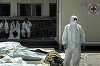 Zeci de cadavre aşteaptă la Spitalul din Suwayda să fie identificate
