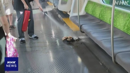Cinci răniţi la Tokyo, după ce o baterie portabilă de telefon explodează şi provoacă panică