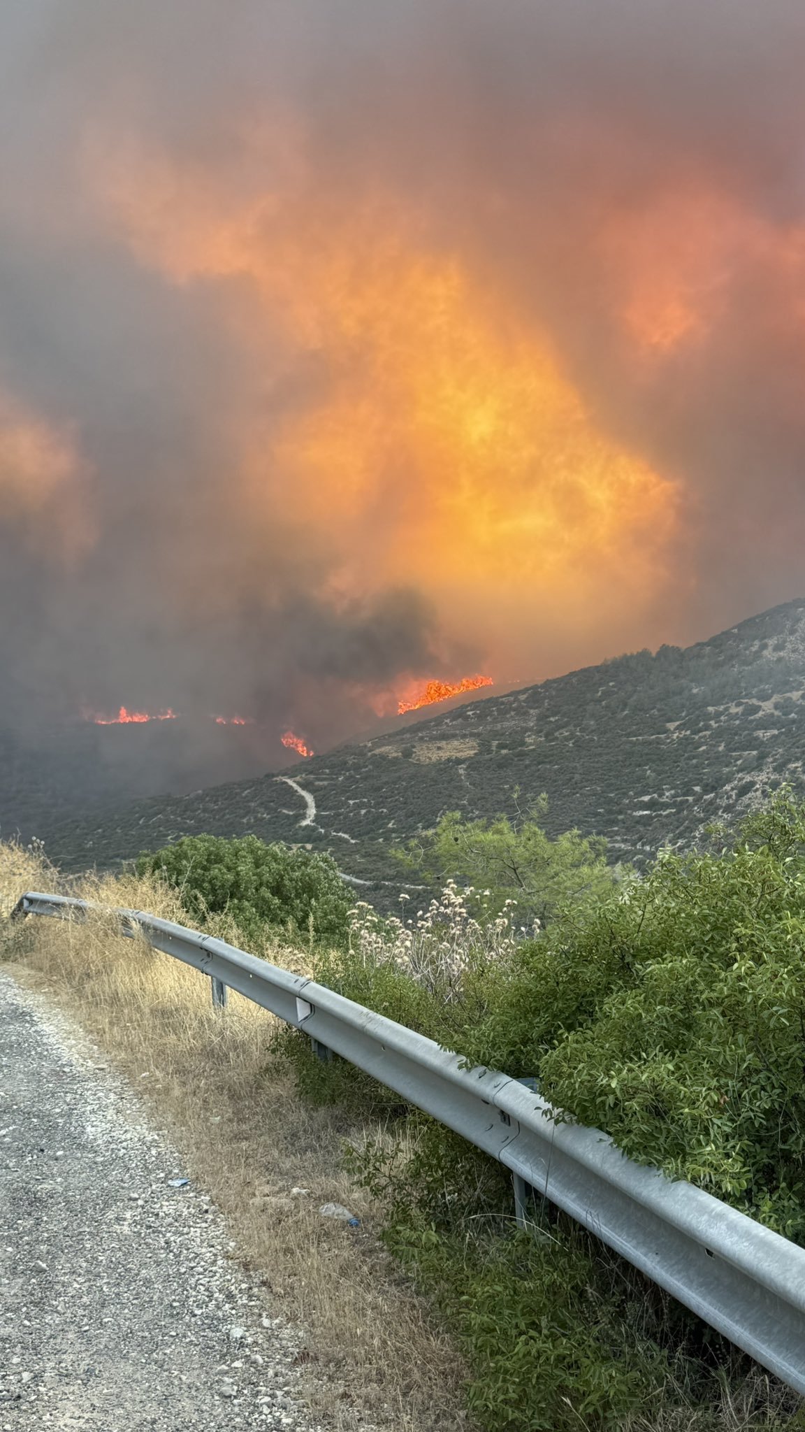 Două persoane au murit şi alte sute au fost evacuate, în urma unui incendiu masiv de vegetaţie în Cipru