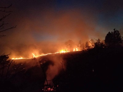 Bulgaria: Incendii violente fac ravagii, distrugând păduri şi case
