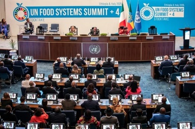 Foametea nu trebuie să fie folosită ca ”o armă de război”, tună secretarul general al ONU António Guterres, la Summit ONU al Sistemelor Alimentare, coorganizat la Addis Abeba de Etiopia şi Italia. Aproximativ 8,2% din populaţia mondială a suferit de foamete în 2024 - raport