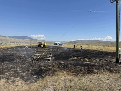 Un peşte a căzut din ciocul unei păsări de pradă pe o linie de înaltă tensiune şi a provocat un incendiu în Canada - FOTO