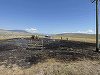Un peşte a căzut din ciocul unei păsări de pradă pe o linie de înaltă tensiune şi a provocat un incendiu în Canada - FOTO