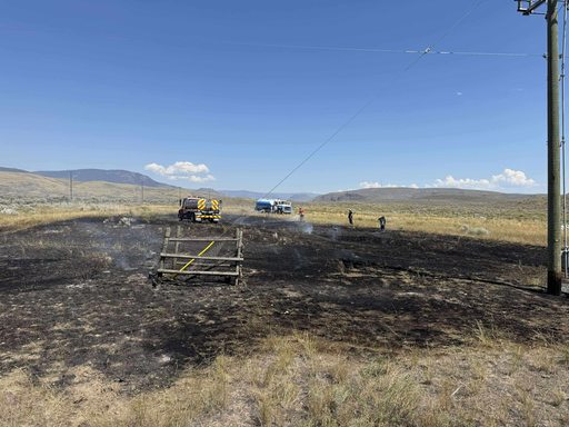 Un peşte a căzut din ciocul unei păsări de pradă pe o linie de înaltă tensiune şi a provocat un incendiu în Canada - FOTO