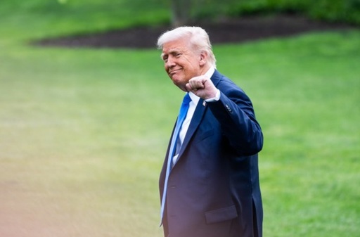 Trump cere excluderea imigranţilor fără acte din recensământ şi exercită presiuni asupra multor oficiali să redeseneze, prin ”gerrymandering”, harta electorală, înaintea alegerilor de la jumătate de mandat în 2026. Constituţia prevede înregistrarea ”tuturor persoanelor”