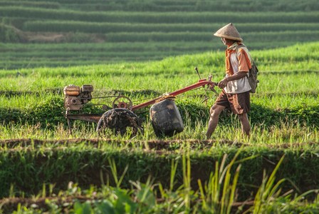 Reuters: O mână de dolari şi provizii de orez pentru fermierii vietnamezi strămutaţi pentru a face loc unui club de golf al lui Trump