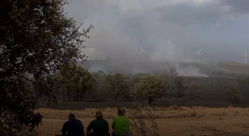 Portugalia cere ajutorul Europei pentru a lupta împotriva incendiilor de vegetaţie