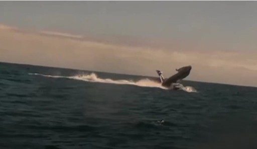Reuters: Marina SUA construieşte o flotă de drone pentru a face faţă Chinei, dar lucrurile nu merg prea bine