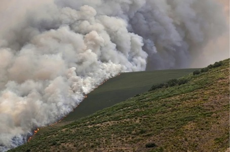 AFP: Peste un milion de hectare arse în UE de la începutul lui 2025, un ”record” de la înregistrarea datelor. România, pe locul trei, cu 126.000 de hectare arse, după Spania şi Portugalia