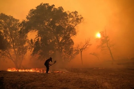 Incendii de vegetaţie în Europa: Peste 300 de piromani arestaţi în Grecia, de la începutul anului