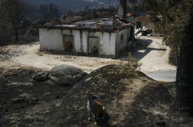 Un incendiu de pădure devastează o suprafaţă-record de 64.000 de hectare în centrul Portugaliei