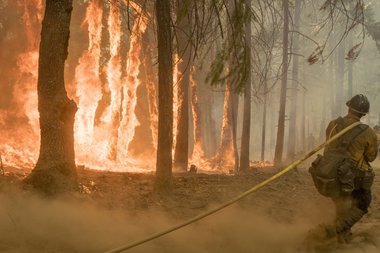 Polemică în SUA după ce poliţia imigraţiei a arestat doi pompieri care erau implicaţi în combaterea unui incendiu de proporţii 