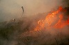 Modificările climatice au crescut de 40 de ori probabilitatea unor valuri de căldură precum cele din Spania şi Portugalia