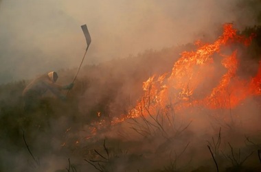 Modificările climatice au crescut de 40 de ori probabilitatea unor valuri de căldură ca cele din Spania şi Portugalia