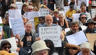 Aproape 900 de arestări la Londra în timpul unei manifestaţii de susţinere a organizaţiei Palestine Action - VIDEO