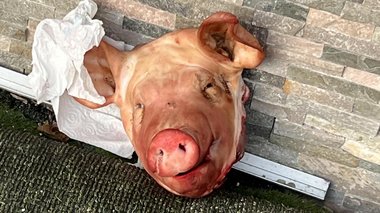 Cel puţin cinci capete de porc au fost descoperite în faţa unor moschei din Paris. Pe unul din ele scria „Macron”