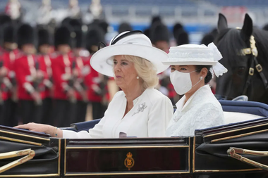 Regina Camilla suferă de sinuzită şi şi-a anulat, chiar înaintea vizitei lui Trump, participarea la un eveniment