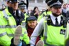 Londra: Peste 400 de persoane arestate la protestele Palestine Action