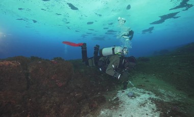 Oamenii de ştiinţă au descoperit ceva alarmant care se scurge în adâncurile oceanului din jurul Antarcticii

